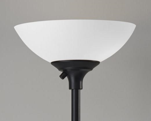 HomeRoots Tailored Torchiere With Bright Illumination and Black Metal Finish