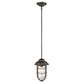 HomeRoots Teardrop Shape Pendant Light in Antique Bronze Finish