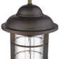 HomeRoots Teardrop Shape Pendant Light in Antique Bronze Finish