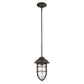 HomeRoots Teardrop Shape Pendant Light in Antique Bronze Finish