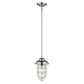 HomeRoots Teardrop Shape Pendant Light in Silver Finish