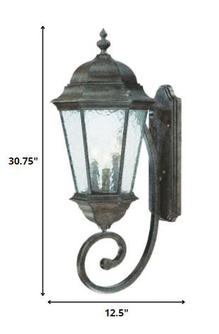 HomeRoots Telfair 3-Light Coral Wall Light in Black Finish