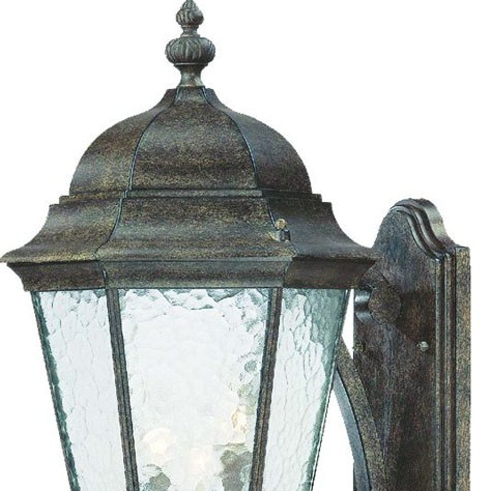 HomeRoots Telfair 3-Light Coral Wall Light in Black Finish