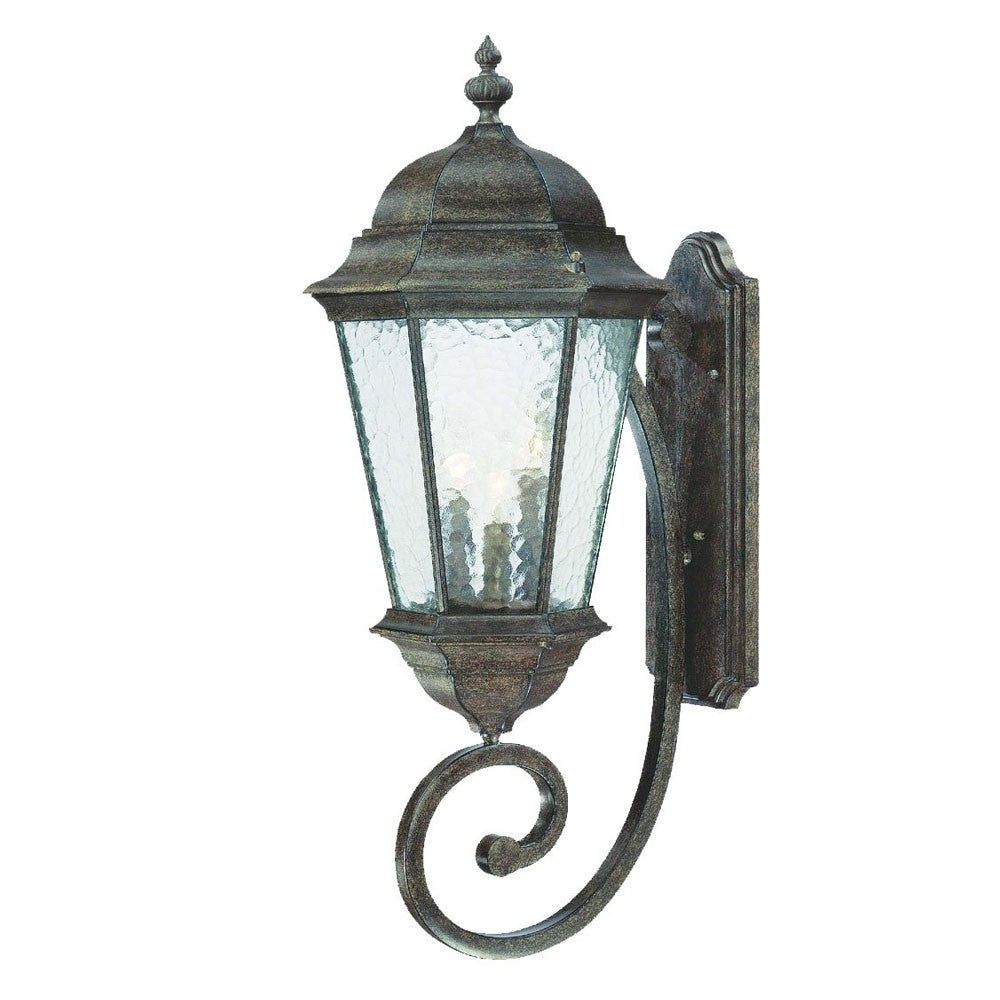 HomeRoots Telfair 3-Light Coral Wall Light in Black Finish