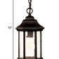 HomeRoots Textured Glass Lantern Hanging Light in Antique Black Finish