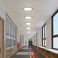 HomeRoots Thin Recedessed Lights With Junction Box in Set of Twelve
