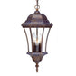 HomeRoots Three Light Carousel Lantern Hanging Light in Dark Brown Finish