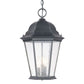 HomeRoots Three Light Domed Lantern Hanging Light in Matte Black Finish