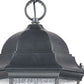 HomeRoots Three Light Domed Lantern Hanging Light in Matte Black Finish