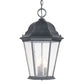 HomeRoots Three Light Domed Lantern Hanging Light in Matte Black Finish