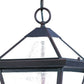 HomeRoots Three Light Glass Hanging Lantern Light With Bronze Finish