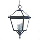 HomeRoots Three Light Glass Hanging Lantern Light With Bronze Finish