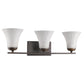 HomeRoots Three Light Wall Light With Tapered Glass Shade in Bronze Finish