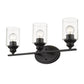HomeRoots Three Light Wall Light with Clear Glass Shade in Matte Black Finish