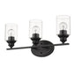 HomeRoots Three Light Wall Light with Clear Glass Shade in Matte Black Finish