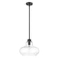 HomeRoots Torrel 1-Light Pendant in Matte Black Finish