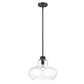 HomeRoots Torrel 1-Light Pendant in Matte Black Finish