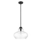 HomeRoots Torrel 1-Light Pendant in Matte Black Finish