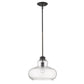 HomeRoots Torrel 1-Light Pendant in Oil Rubbed Bronze Finish
