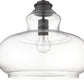 HomeRoots Torrel 1-Light Pendant in Oil Rubbed Bronze Finish