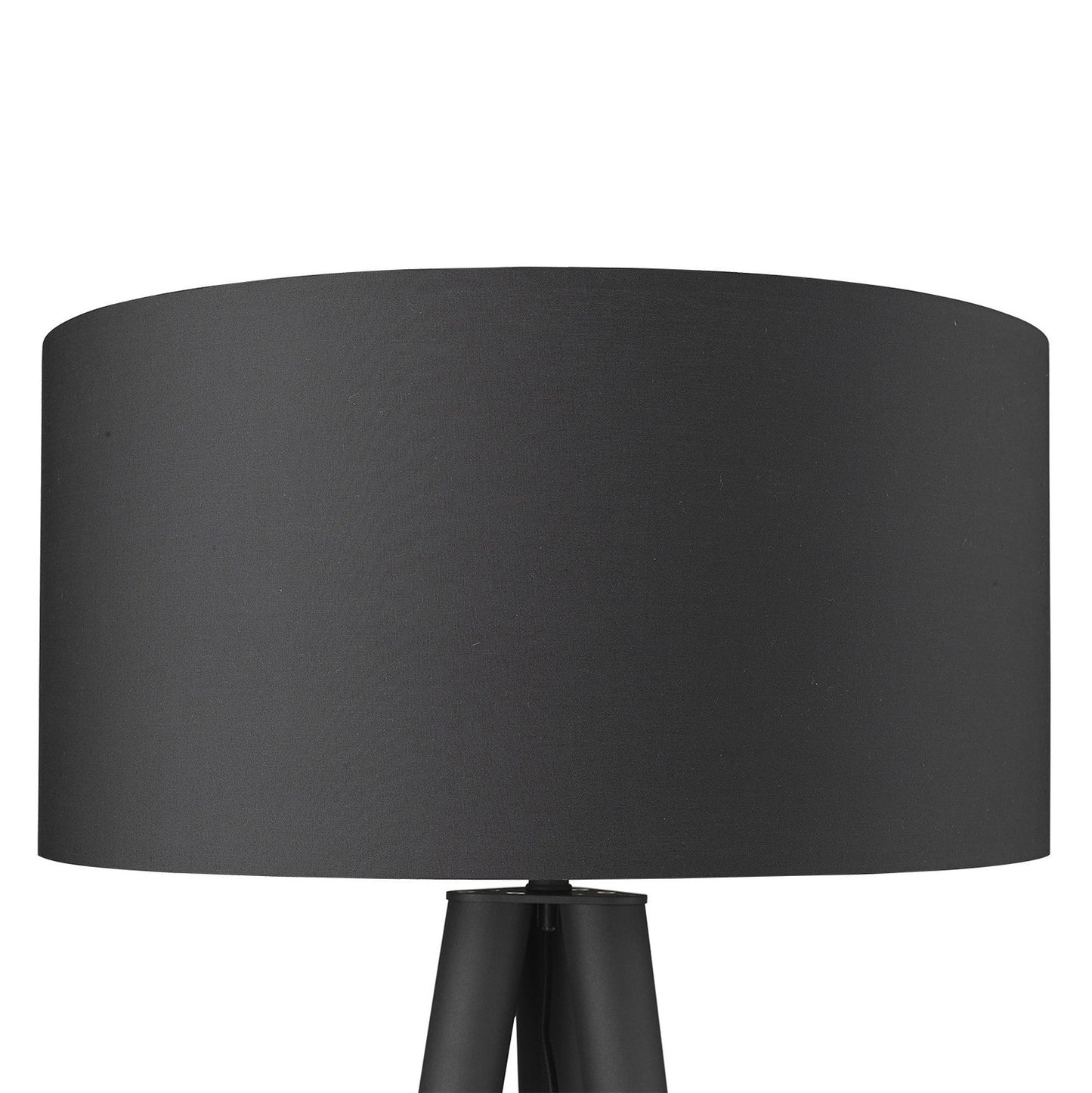 HomeRoots Tourer 1-Light Floor Lamp in Matte Black Finish