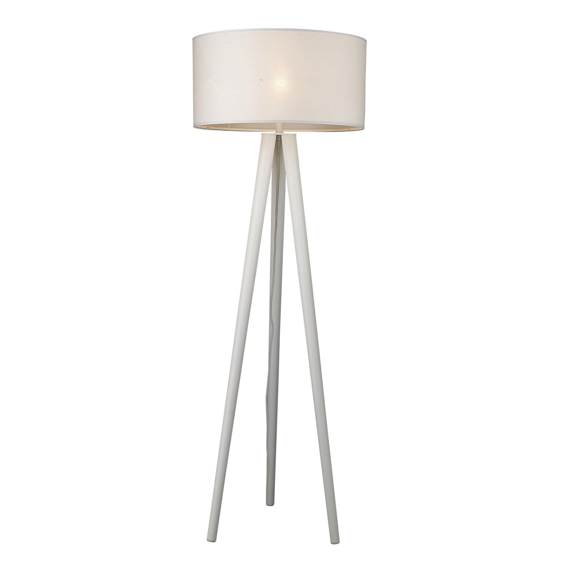 HomeRoots Tourer 1-Light Floor Lamp in White Finish