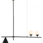 HomeRoots Town Ceiling Lamp With Black and White Finish