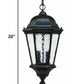 HomeRoots Two Light Carousel Lantern Hanging Light in Brown Finish