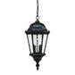 HomeRoots Two Light Carousel Lantern Hanging Light in Brown Finish