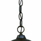HomeRoots Two Light Carousel Lantern Hanging Light in Brown Finish