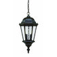 HomeRoots Two Light Carousel Lantern Hanging Light in Brown Finish