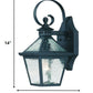 HomeRoots Two Light Hammered Glass Wall Light in Matte Black Finish