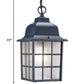 HomeRoots Window Pane Lantern Hanging Light in Matte Black Finish