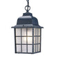 HomeRoots Window Pane Lantern Hanging Light in Matte Black Finish