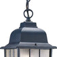 HomeRoots Window Pane Lantern Hanging Light in Matte Black Finish