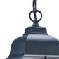 HomeRoots Window Pane Lantern Hanging Light in Matte Black Finish