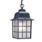 HomeRoots Window Pane Lantern Hanging Light in Matte Black Finish