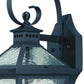 HomeRoots XL Two Light Hammered Glass Wall Light in Matte Black Finish