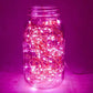 Hometown Evolution 6 Foot 20 LED Pink Fairy Lights