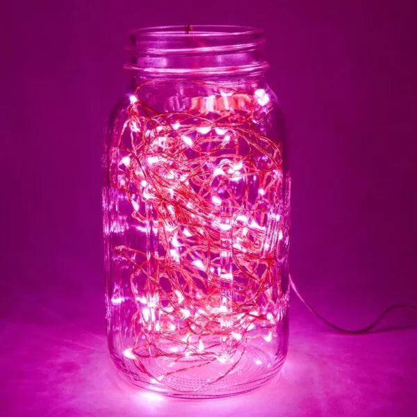 Hometown Evolution 6 Foot 20 LED Pink Fairy Lights
