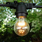 Hometown Evolution A15 LED 9 Diode Clear Light Bulb with E26 Base (Box of 25)