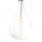 Hometown Evolution A165 LED Spiral Filament 5 Watts Light Bulb