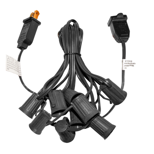 Hometown Evolution C9 10 Foot Black String Light