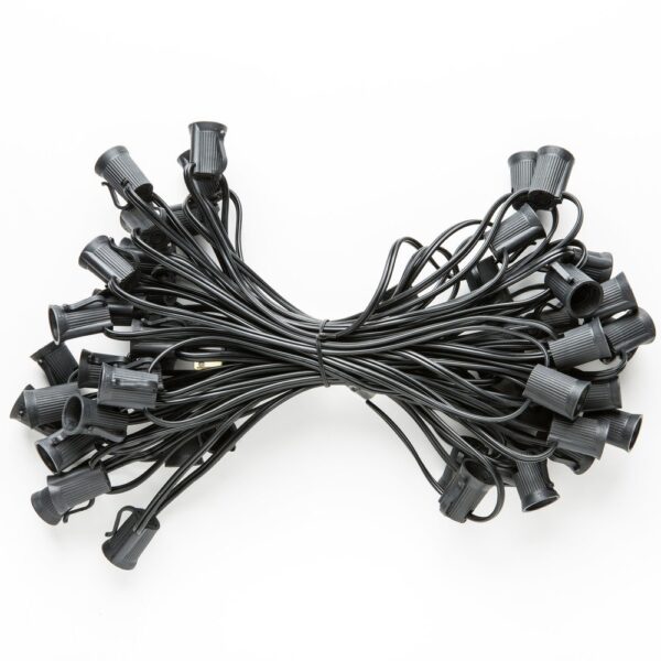 Hometown Evolution C9 50 Foot Black String Light