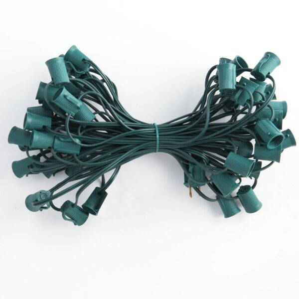 Hometown Evolution C9 50 Foot Green String Light