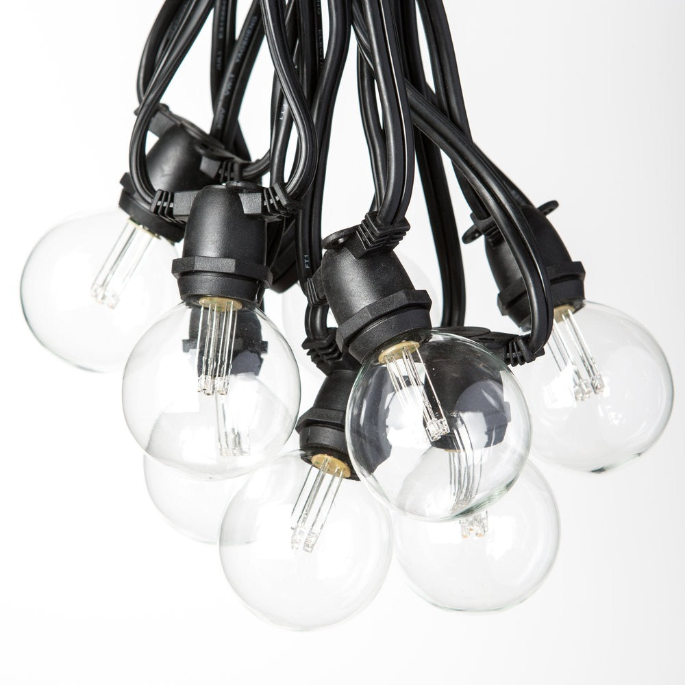 Hometown Evolution C9 Commercial 100 Foot String Light Set with Black Wire and G50 LED 0.6 Watt Warm White Bulbs