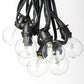 Hometown Evolution C9 Commercial 25 Foot String Light Set with Black Wire and G50 LED 0.6 Watt Warm White Bulbs