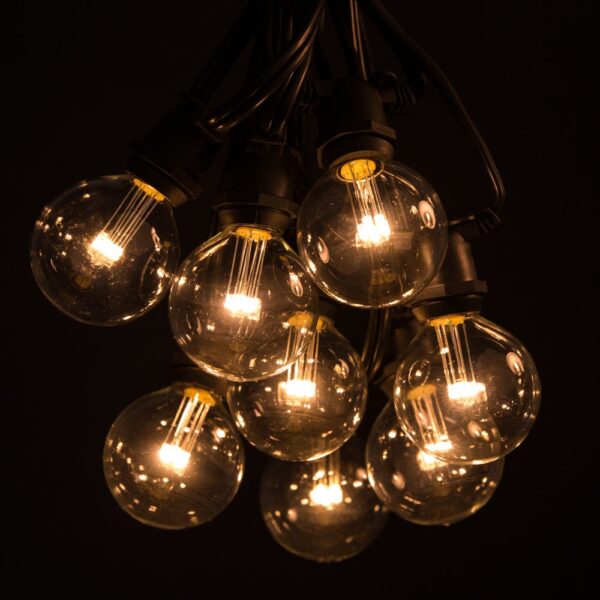 Hometown Evolution C9 Commercial 25 Foot String Light Set with Black Wire and G50 LED 0.6 Watt Warm White Bulbs