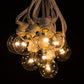 Hometown Evolution C9 Commercial 25 Foot String Light Set with White Wire and G50 LED 0.6 Watt Warm White Bulbs