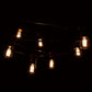 Hometown Evolution E26 Commercial 100 Foot String Light Set with S14 Lantern Edison Light Bulbs